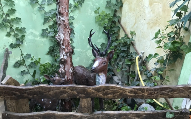 Magic Patio