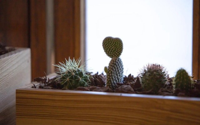 GuestReady - Catorze de Outubro Houses iii