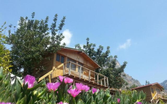 Olive Garden Kabak