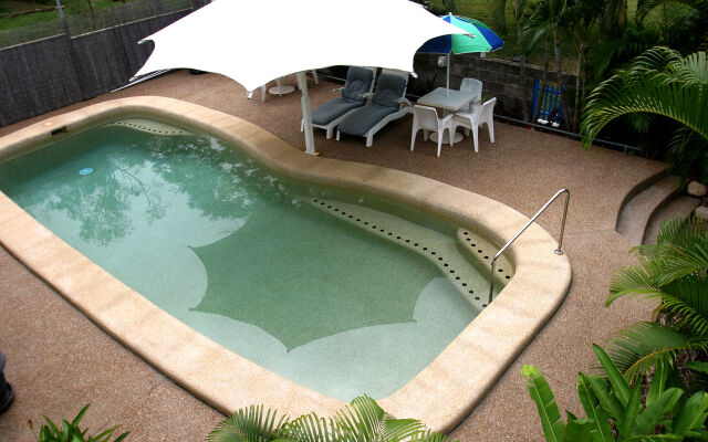 Tropical Palms