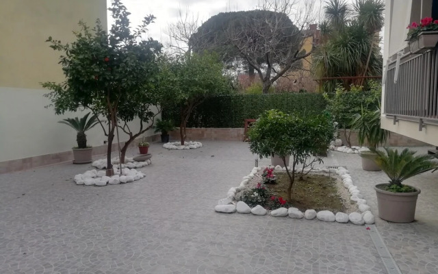 Fitta Chambre Mavì