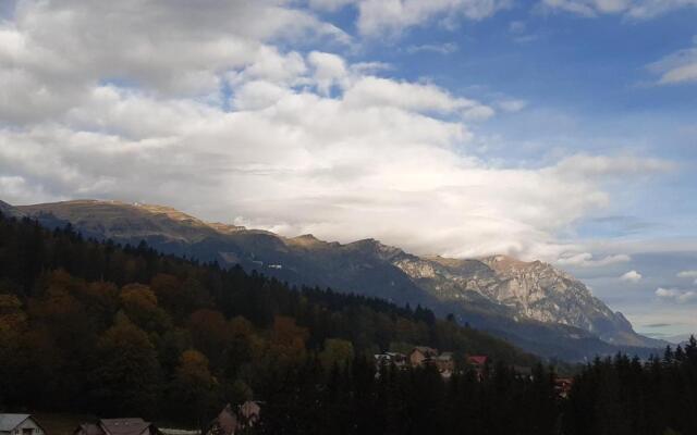 Bucegi View 39 - Colina Marei