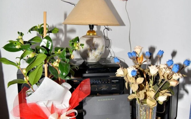 Zeusplace Georgia Blue