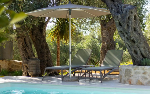 Mashtra The Olive House