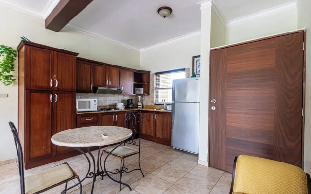 Garden Studio, Ocean Dream