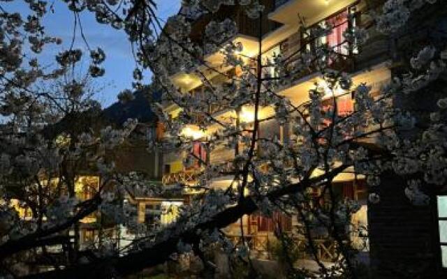 YOLO Backpackers Hostel