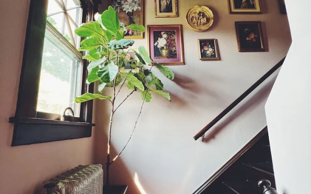 Marianna Stoltz House