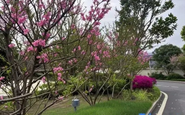 Furi Garden Hotel