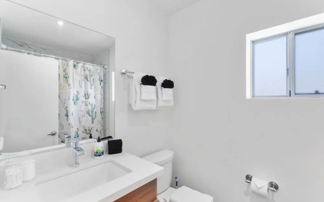 Modern Designer Studio with Pool