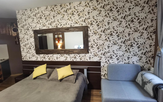 Studio Iceberg Borovets Студио с кухня