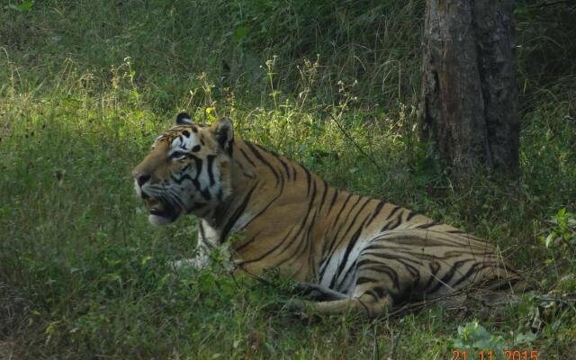 Windsor Tiger Resort