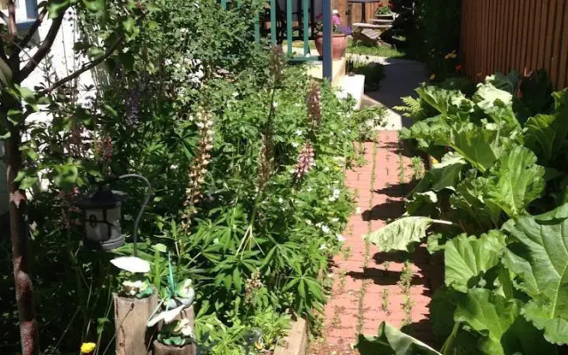 B & B on Balsam