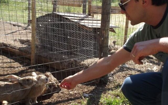 Oasi Agrituristica Le Chiancate