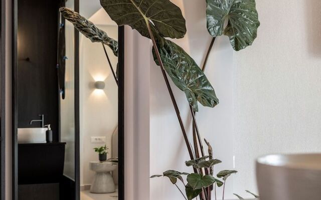Nuovo Luxury Suites