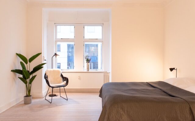 Cozy Spacious Apartment in Downtown Aarhus