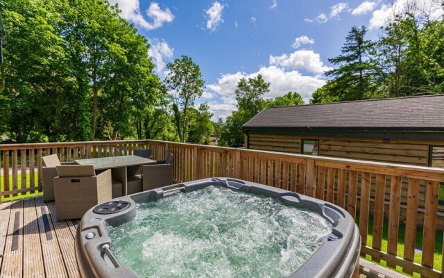 Squirrel Lodge 41 with Hot Tub, Newton Stewart