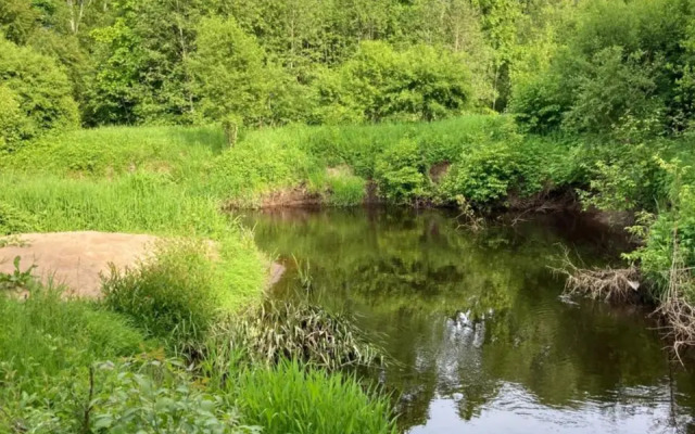 Pēterupe