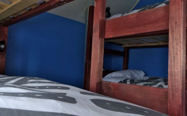 Maytenus bed and breakfast - Hostel