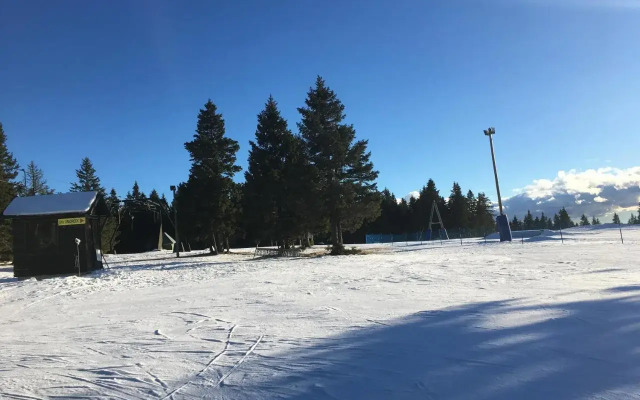 Apartma Rogla - Gaber 98