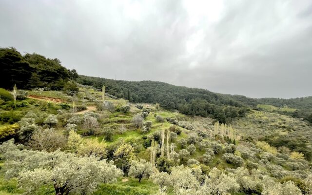 Ephesus Retreat