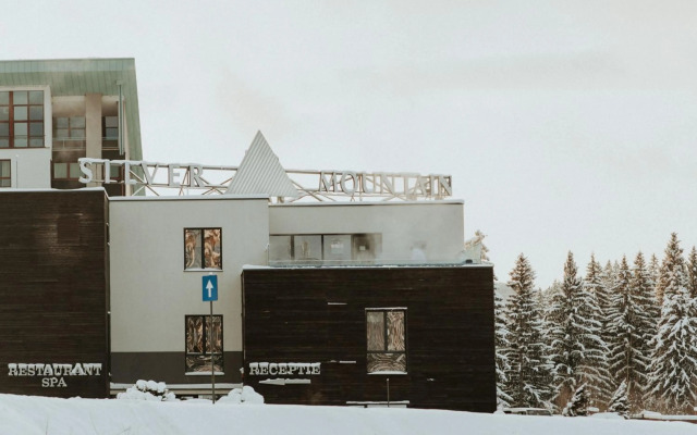 Silver Pine Apartment