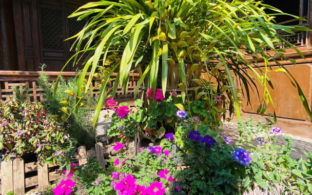 Blossom Hill Inn Neverland