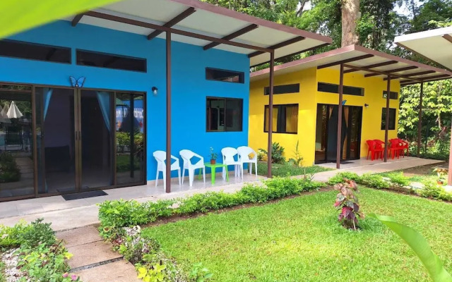 Caribbean Blue Morpho