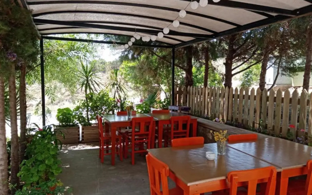 Zeytin Suit Bozcaada