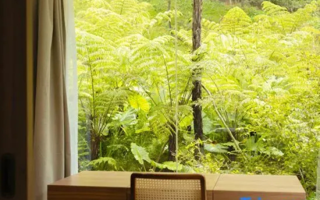 Haven in the Pines