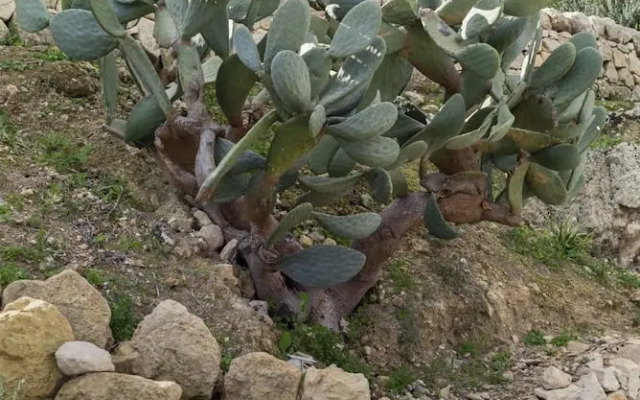 Villa Cappero With Pool by Wonderful Italy