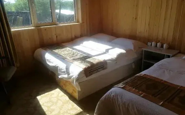 Dream in Hostel