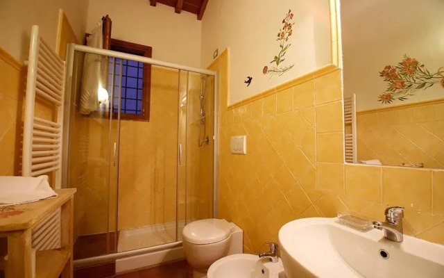 Gatto Bianco Tizzauli