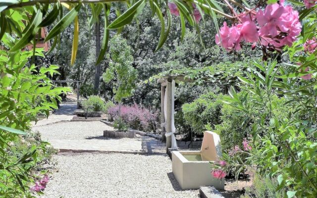 El Escondite De Pedro Malillo