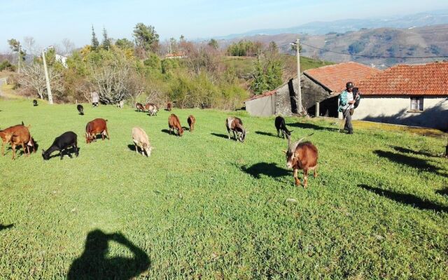 House With 2 Bedrooms in Peso da Régua, With Wonderful Mountain View,