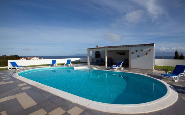 Pico Dreams - Sportfish