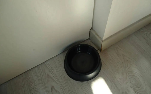 Logis Andraud Studios