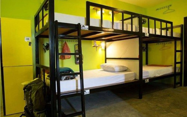 The Luxury Concept Hostel