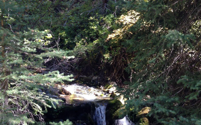 Treehouse by the Stream