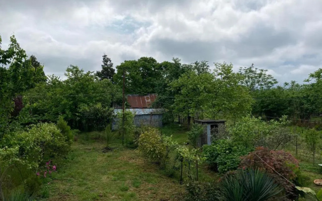 Natia guest house