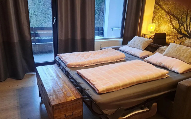 Studio in Winterberg Near Ski Slopes