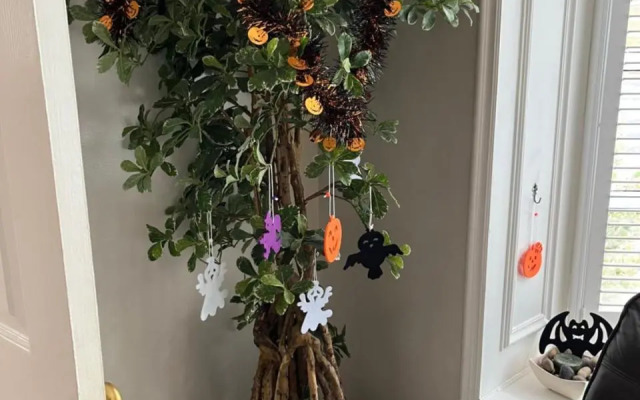 NEW Cottingburn House