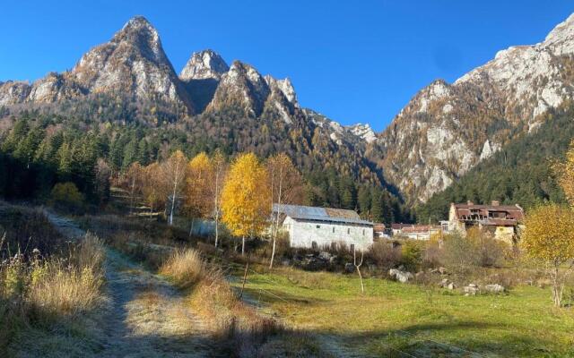 Vila Busteni DORA, locatie superba strada Grivitei 36