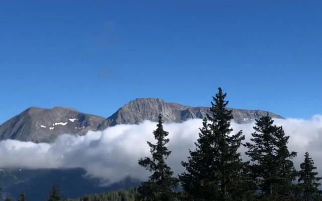 Serene Alpine Stay for 6 Guests