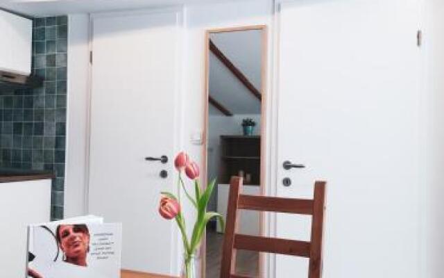 Apartments Vela