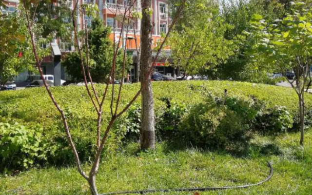 Wuyuan Business Hotel