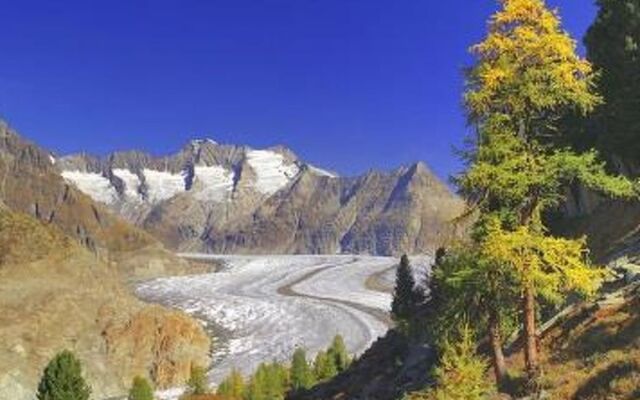Appartementhaus Zurschmitten 15