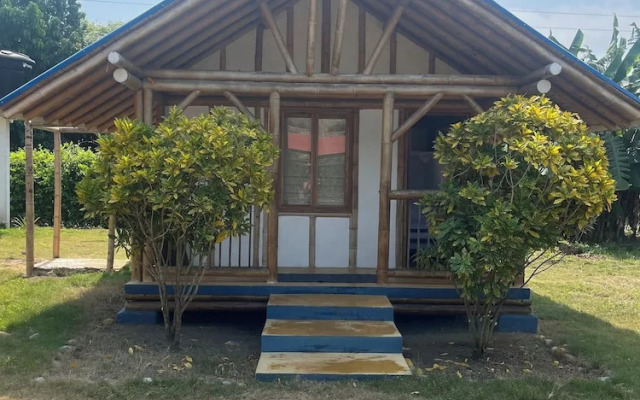 Tree of Life - Hostel