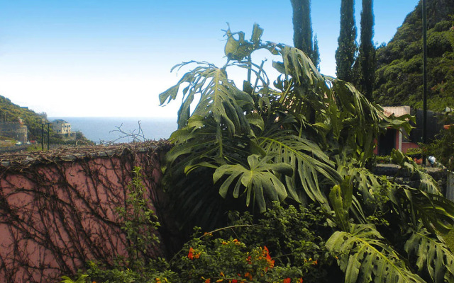 Holiday home, Ribeira Brava