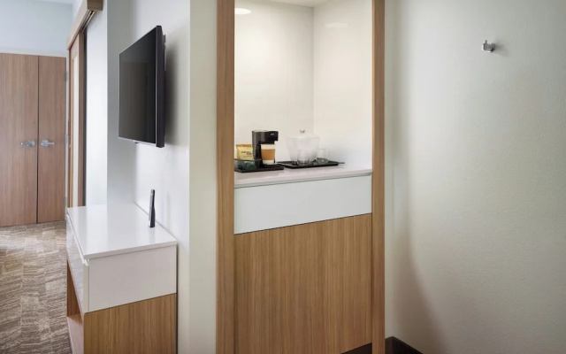 SpringHill Suites Ellijay