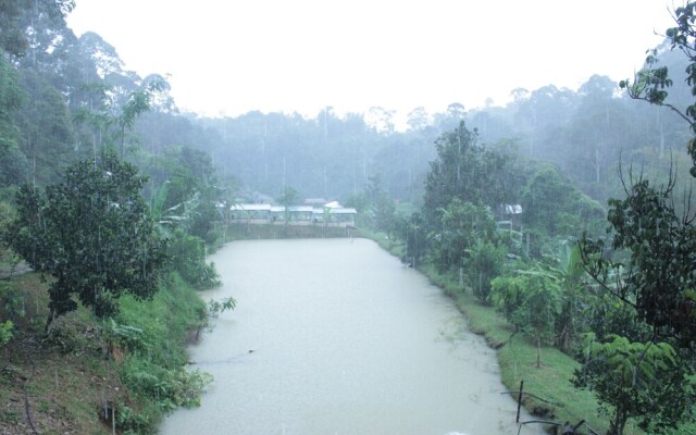 Tokwan's Agro Village